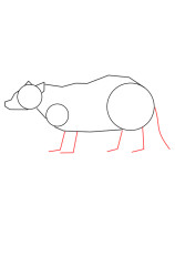 How to draw a badger - Step 3
