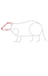 How to draw a badger - Step 4