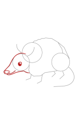 How to draw an Armadillo - Step 3