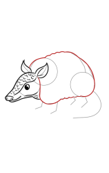 How to draw an Armadillo - Step 6