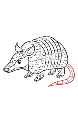 How to draw an Armadillo - Step 11