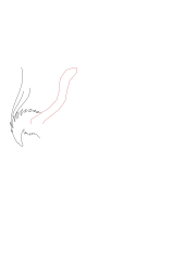 How to draw a phoenix - Step 3