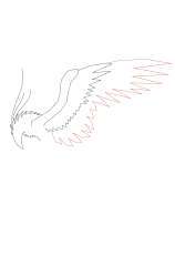 How to draw a phoenix - Step 5