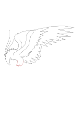 How to draw a phoenix - Step 7