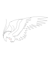 How to draw a phoenix - Step 8