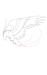How to draw a phoenix - Step 10