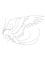 How to draw a phoenix - Step 11