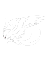 How to draw a phoenix - Step 14