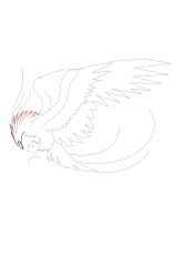 How to draw a phoenix - Step 15