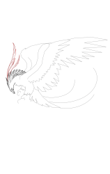 How to draw a phoenix - Step 17