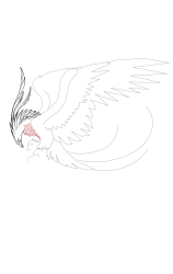 How to draw a phoenix - Step 18