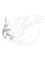 How to draw a phoenix - Step 19