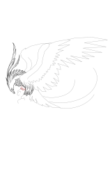 How to draw a phoenix - Step 20