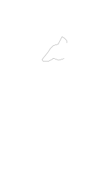 How to draw a coyote - Step 1