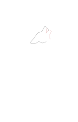 How to draw a coyote - Step 2