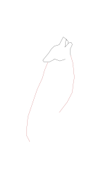 How to draw a coyote - Step 3