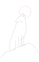 How to draw a coyote - Step 9