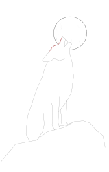How to draw a coyote - Step 10