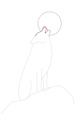 How to draw a coyote - Step 11