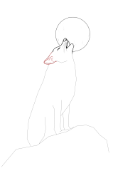 How to draw a coyote - Step 14