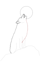 How to draw a coyote - Step 16