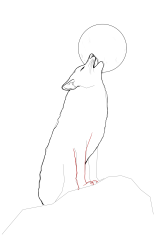 How to draw a coyote - Step 17