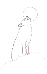 How to draw a coyote - Step 18