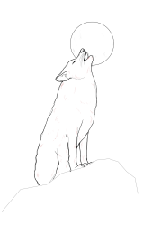 How to draw a coyote - Step 20