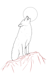 How to draw a coyote - Step 21