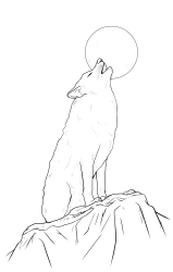 How to draw a coyote - Step 22