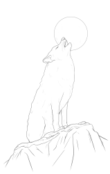 How to draw a coyote - Step 23