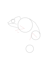 How to draw a chameleon - Step 5