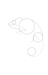 How to draw a chameleon - Step 6