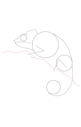 How to draw a chameleon - Step 7