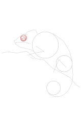 How to draw a chameleon - Step 8