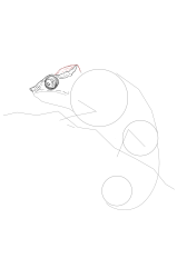 How to draw a chameleon - Step 10