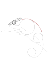 How to draw a chameleon - Step 11