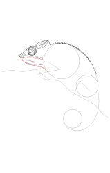 How to draw a chameleon - Step 12