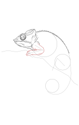 How to draw a chameleon - Step 14