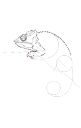 How to draw a chameleon - Step 15