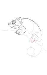 How to draw a chameleon - Step 16