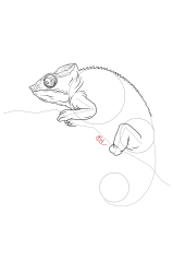 How to draw a chameleon - Step 17