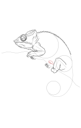 How to draw a chameleon - Step 18