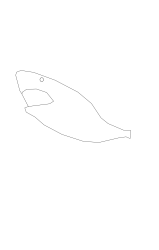 How to draw a megalodon - Step 1