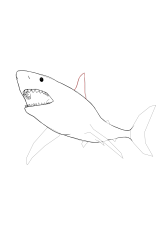 How to draw a megalodon - Step 10