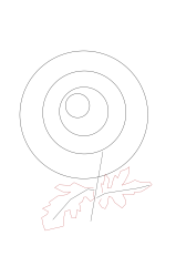 How to draw chrysanthemum - Step 4