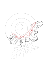 How to draw chrysanthemum - Step 7