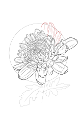 How to draw chrysanthemum - Step 19