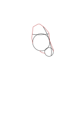 How to draw a donkey - Step 4