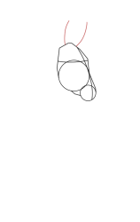 How to draw a donkey - Step 5